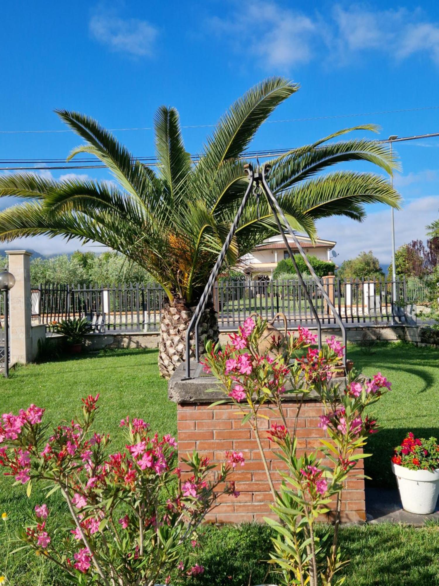 Relax In Campagna - Aquino Apartment Екстериор снимка